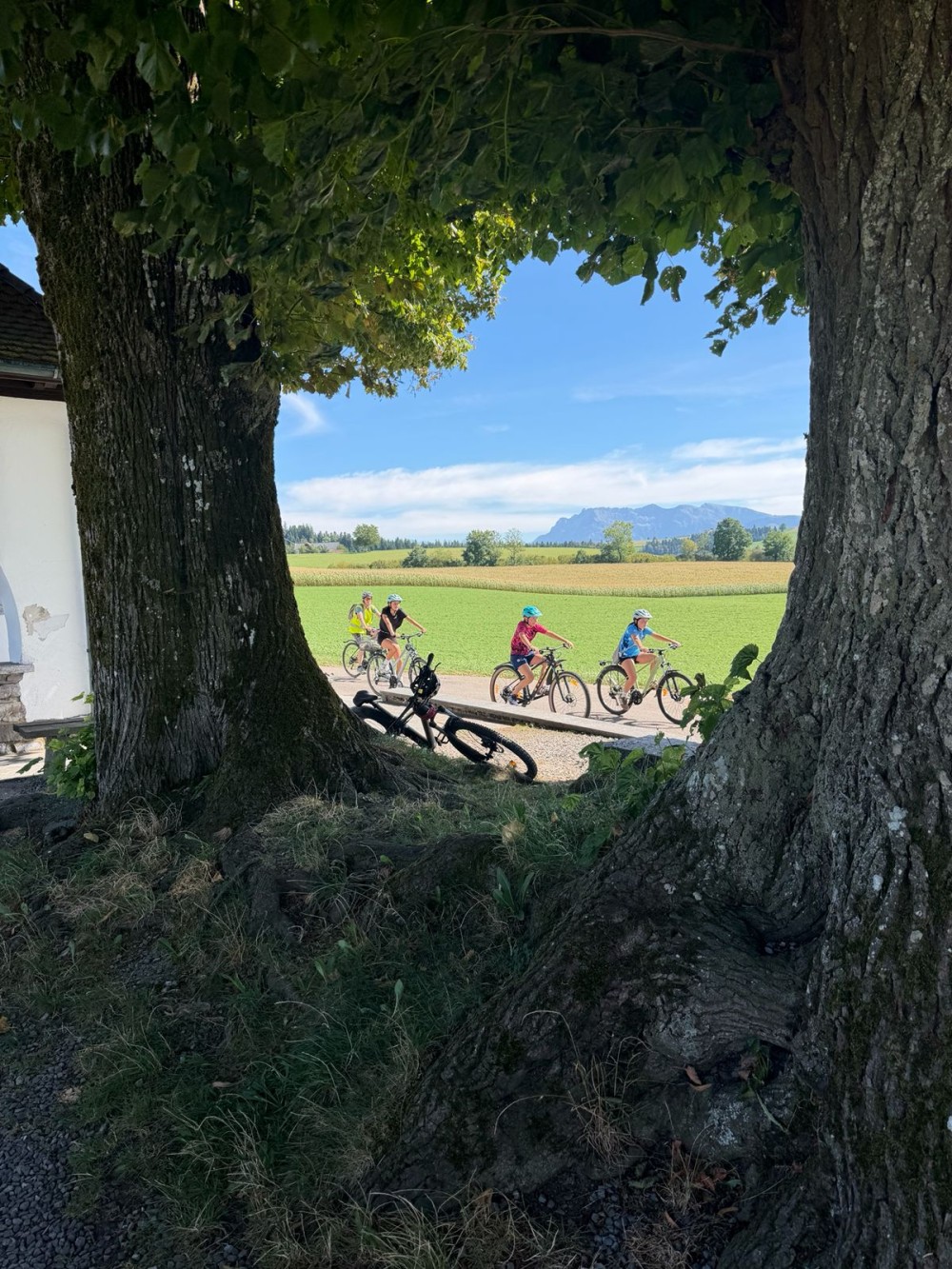 am Fahren