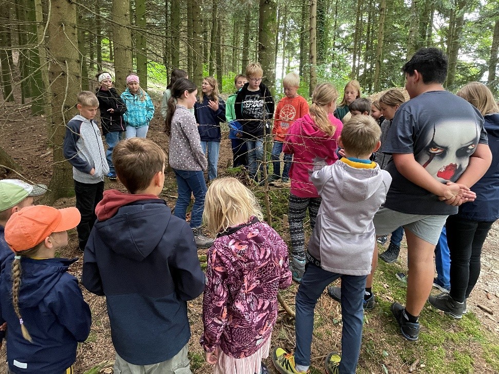 Bild3