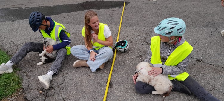 Klasse%201.1%20-%20Hunde%20streicheln%20%281%29