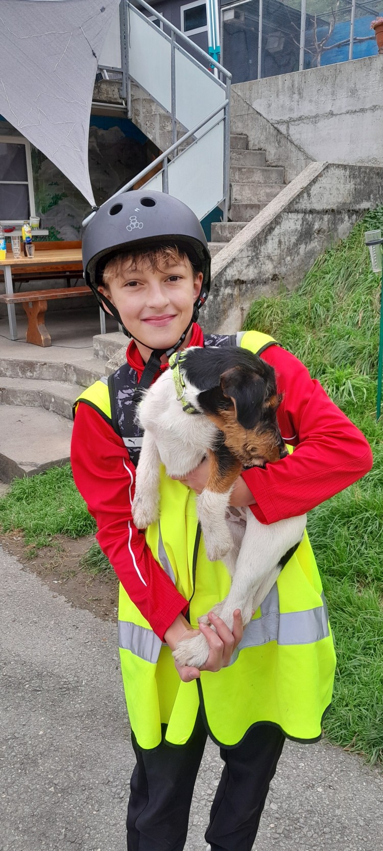 Klasse%201.1%20-%20Hunde%20streicheln%20%283%29